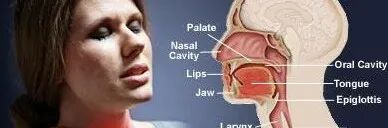 为什么要做吞咽仪器吞咽技术策略（一）_https://www.jmylbn.com_新闻资讯_第4张