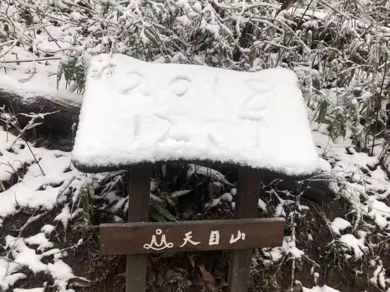 今日，暴雪預警！ 遊戲 第2張