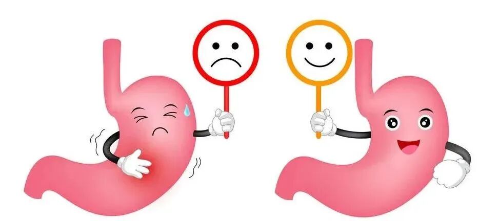 什么品牌胃镜【品牌推介】胃功能三项检查，助你更好的了解你的胃_https://www.jmylbn.com_新闻资讯_第2张