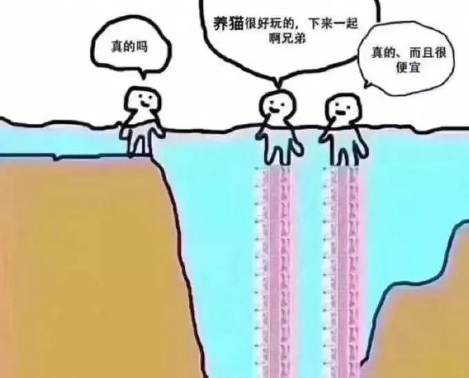 “猫，是奢侈品！”