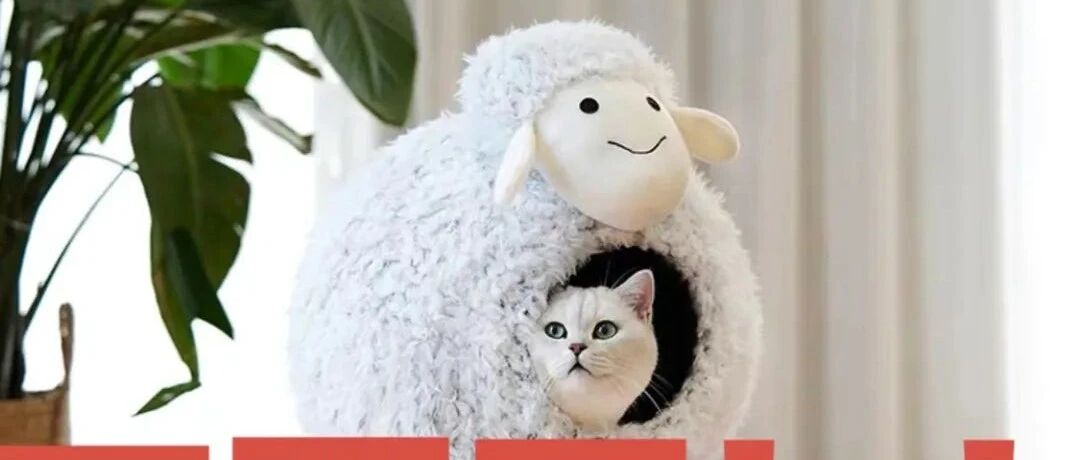 紧急扩散！这种网红猫窝又闷死猫，太太太可怕了！！