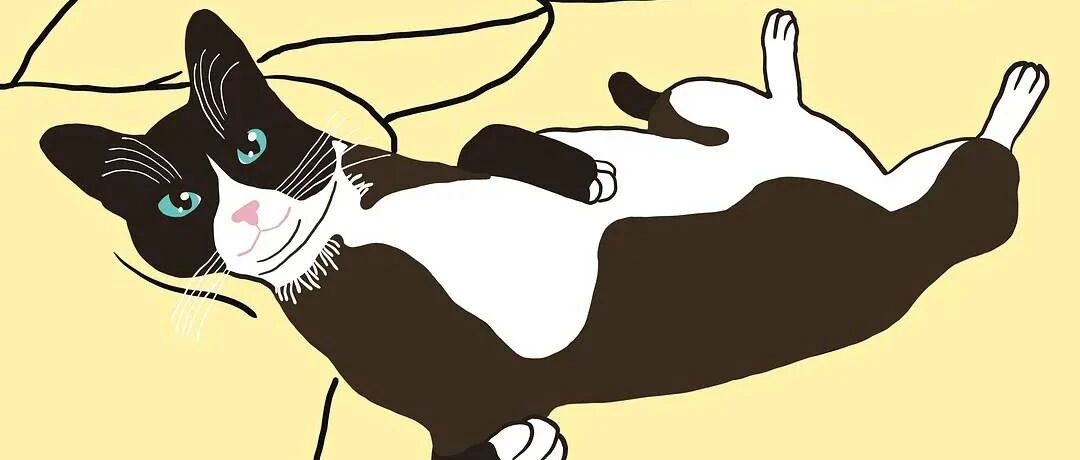 看完豆瓣灵魂画猫组，我笑到劈叉！