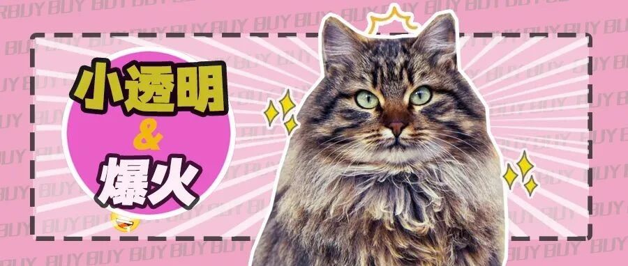 这粮在漂亮国爆火，在中国却是小透明？！