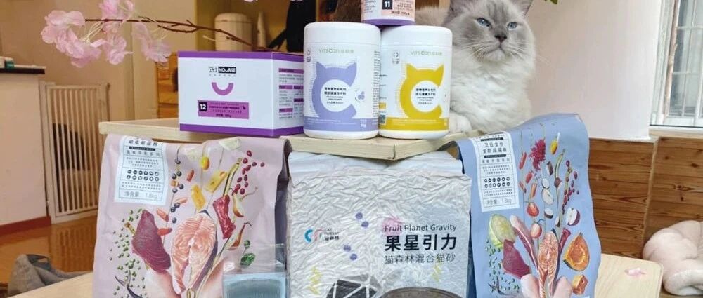 晚上7点爱猫君直播带货，全网低价，礼物多，速来！