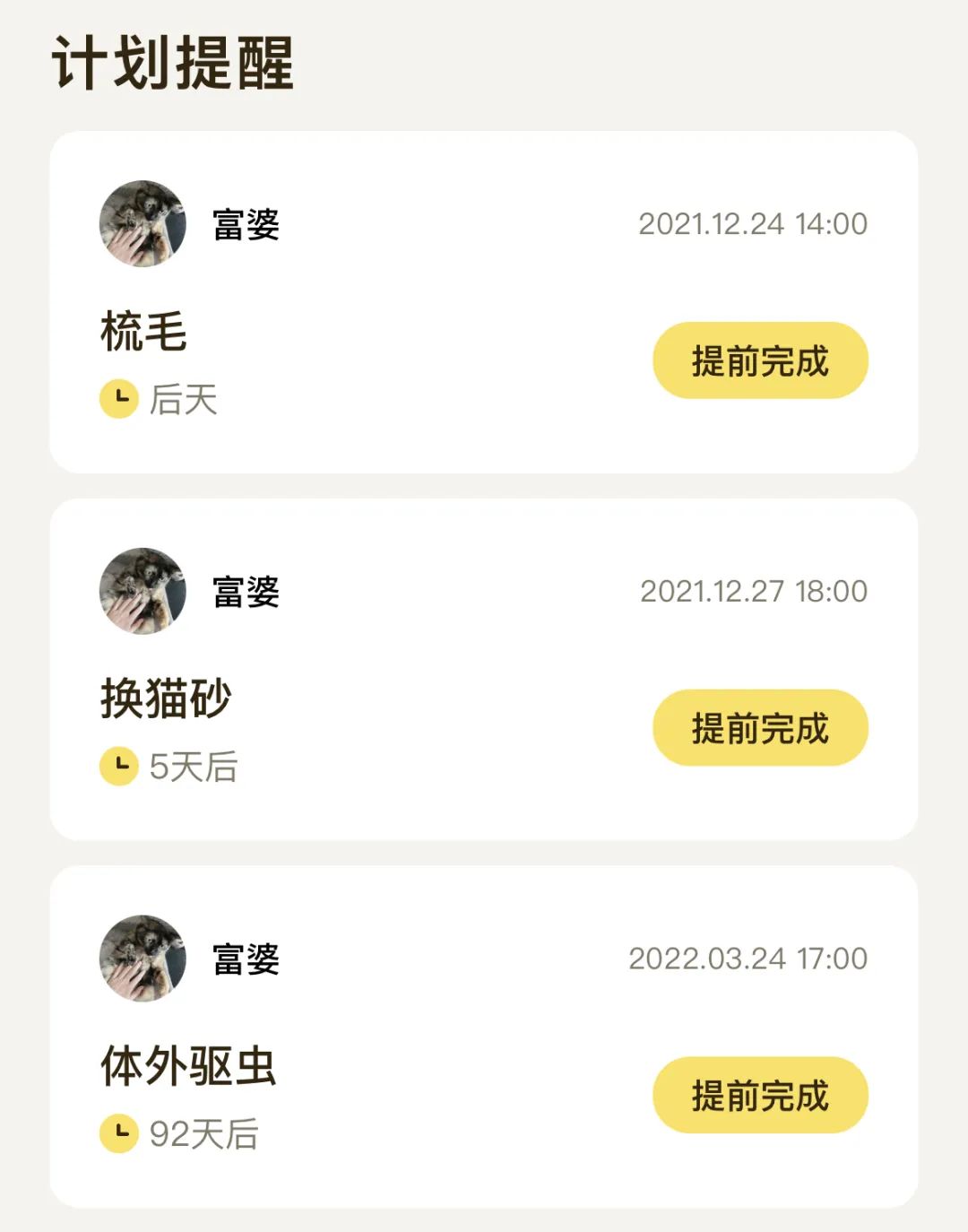 破防了！我的猫被切除脾脏后，医生却说可能是误诊？