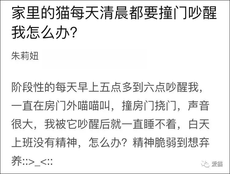 貓為什麼能輕易奴役人類？真相竟是... 萌寵 第11張