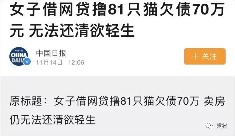 貓為什麼能輕易奴役人類？真相竟是... 萌寵 第34張