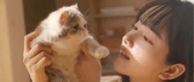 为什么当猫奴洗完澡，猫咪喜欢亲你？真相竟是...