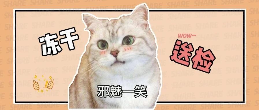 不再偷懒，被追问10000遍的冻干评测，全在这里了！