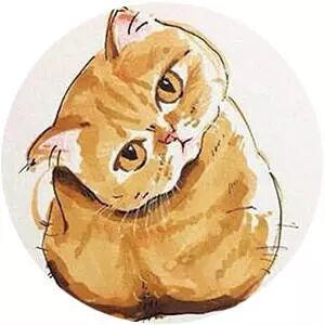 周扬青：请不要养折耳猫，谢谢!_柠檬资讯