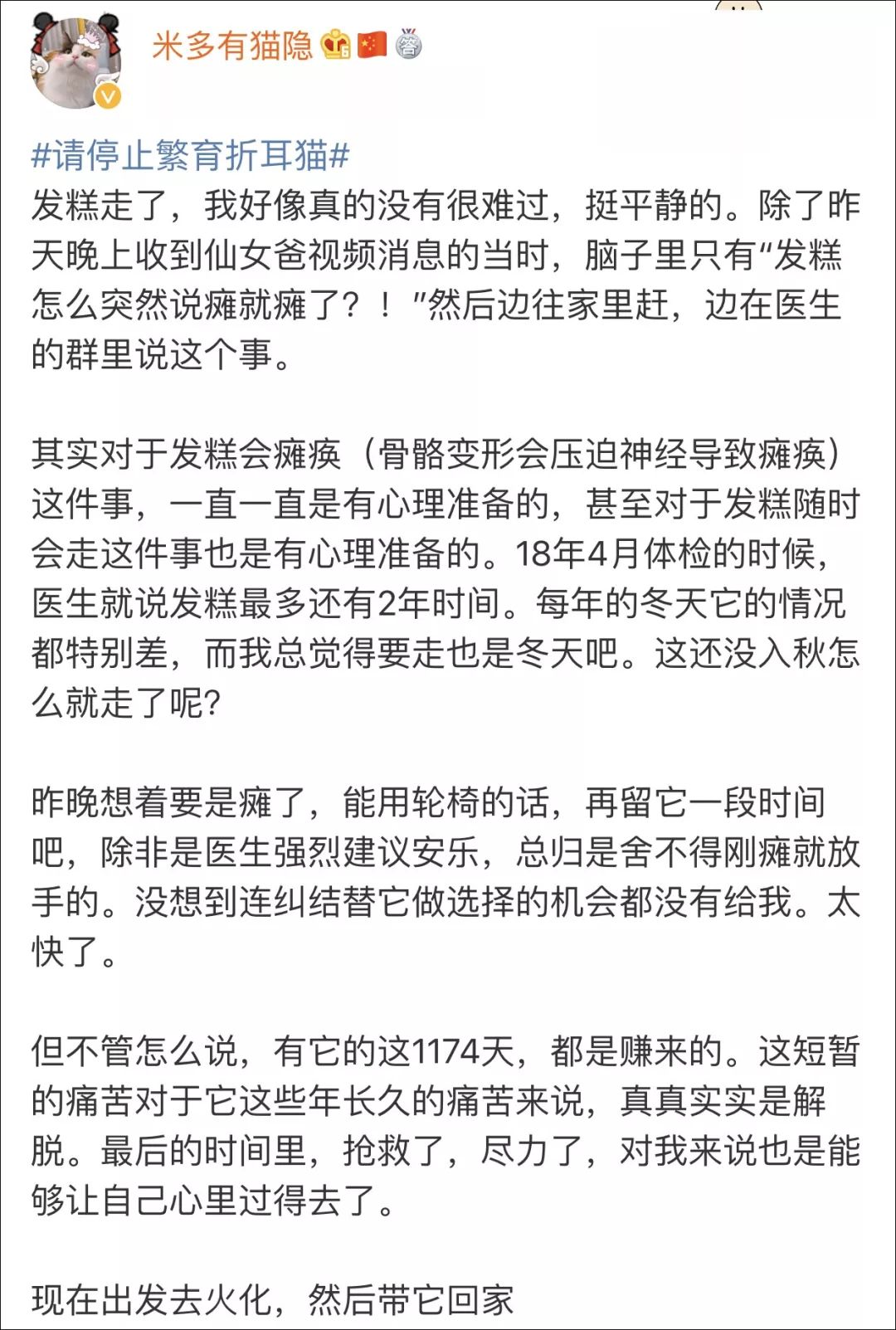 折耳貓有多可愛，人類就有多殘忍。 寵物 第2張