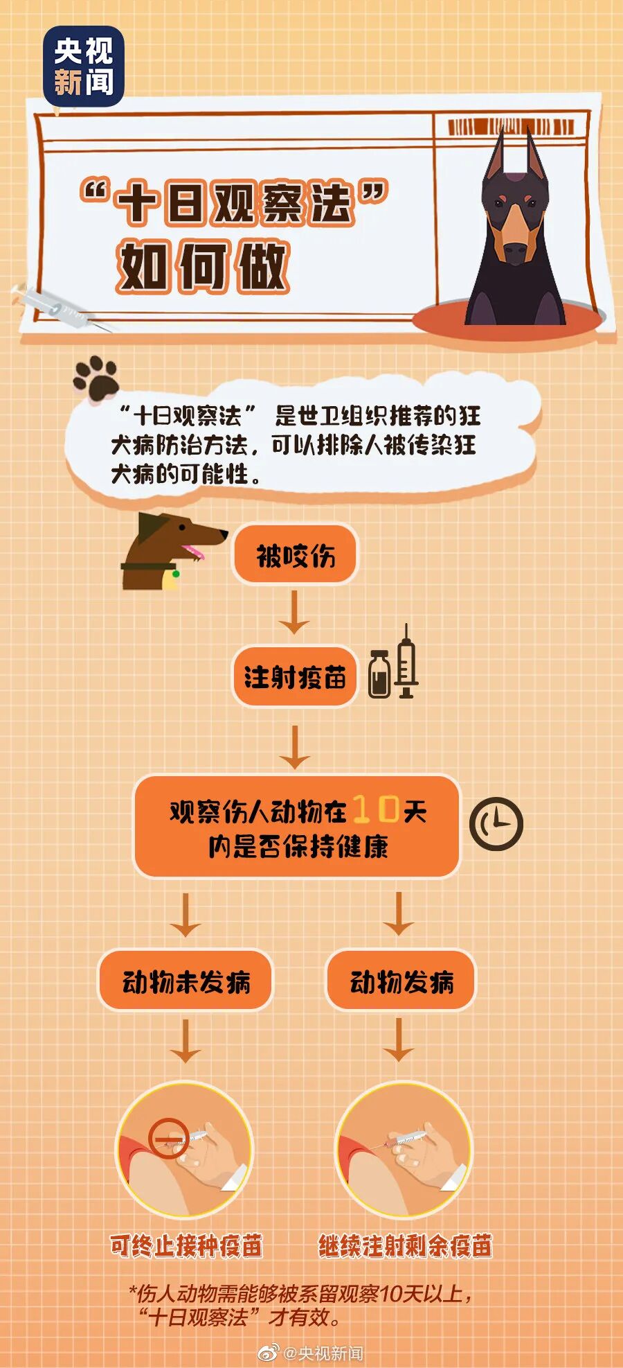 via:微博@央视新闻打狂犬疫苗的副作用发生率是比较低的,部分人群可能