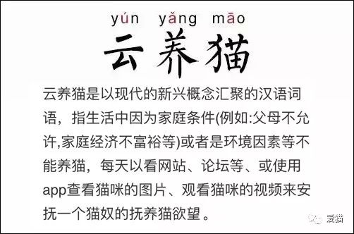 貓為什麼能輕易奴役人類？真相竟是... 萌寵 第20張