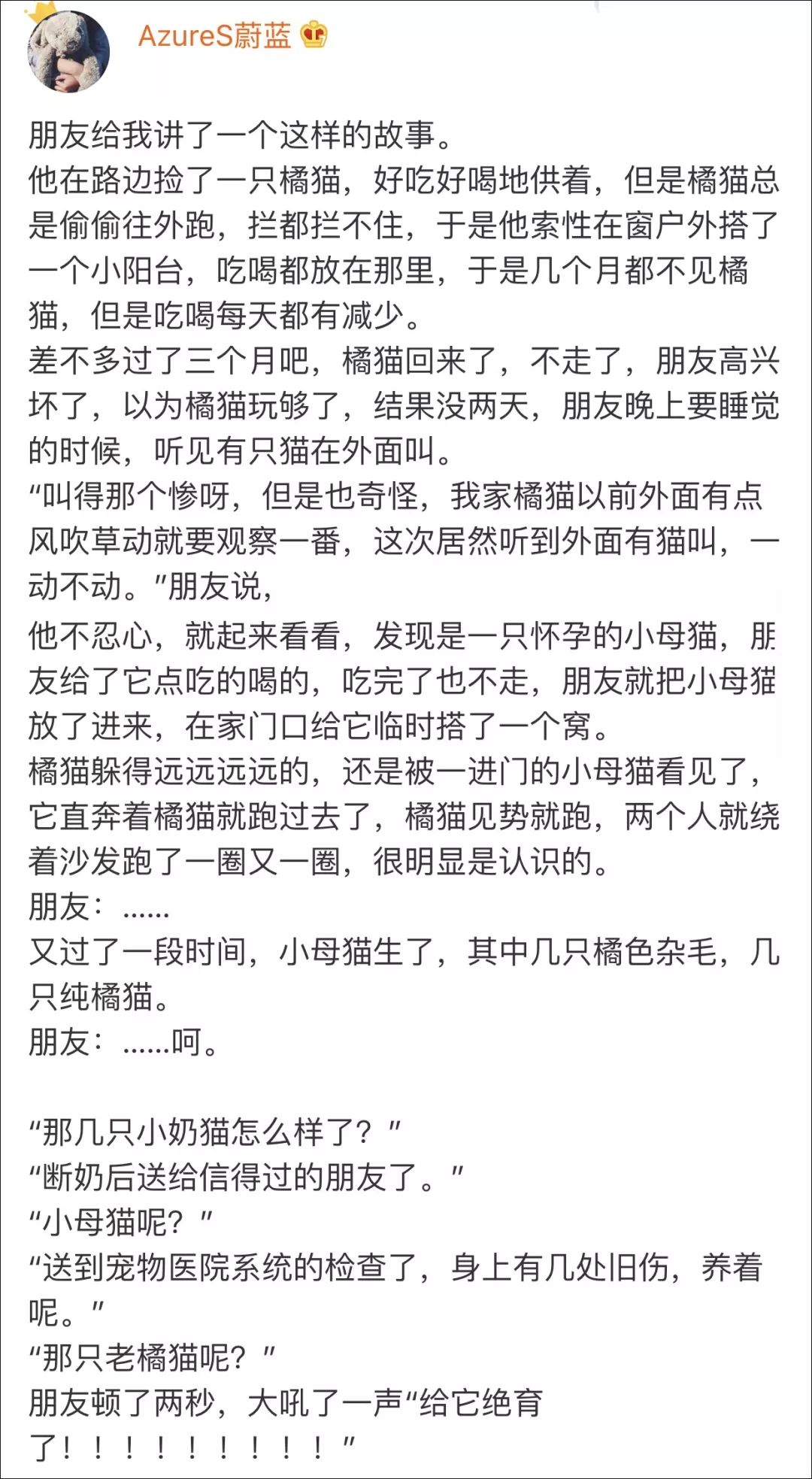 「十隻橘貓九隻渣，還有一只是詐騙犯！」 寵物 第4張