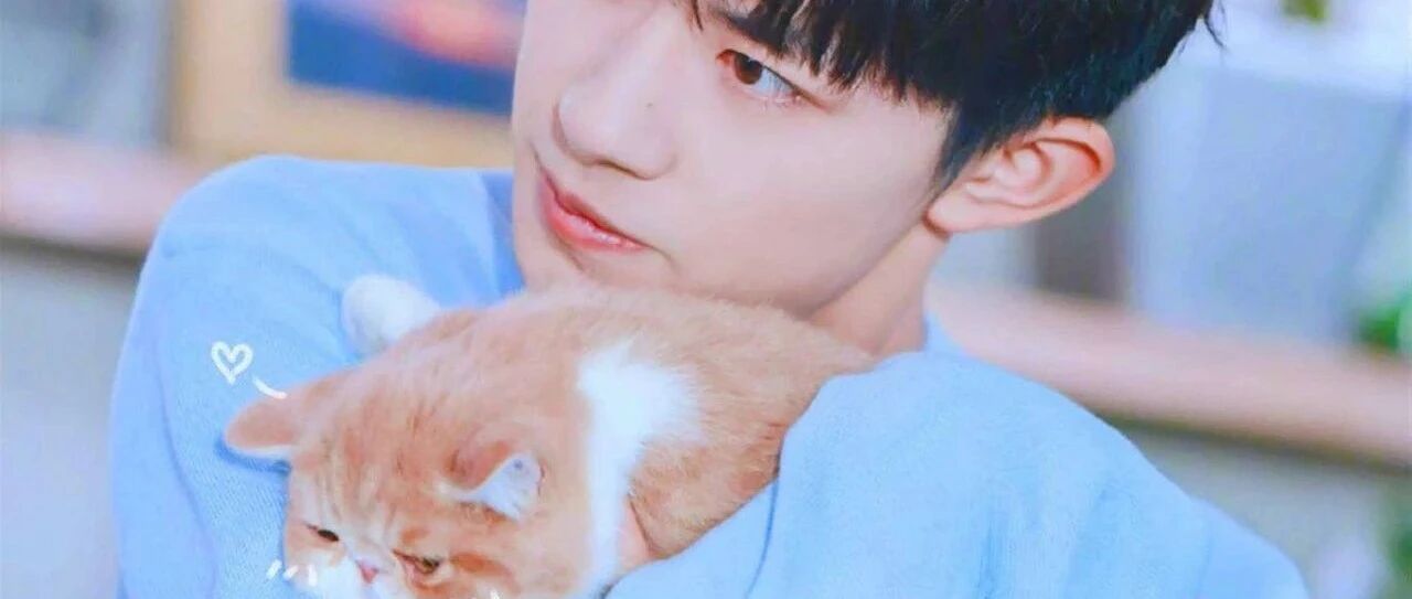 “我寻思着男孩子和猫能有多搭？简直就是爱情的样子！”