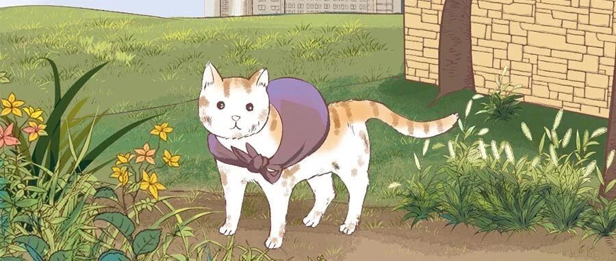 深夜，他用鱼镖残忍地刺穿了我的身体...