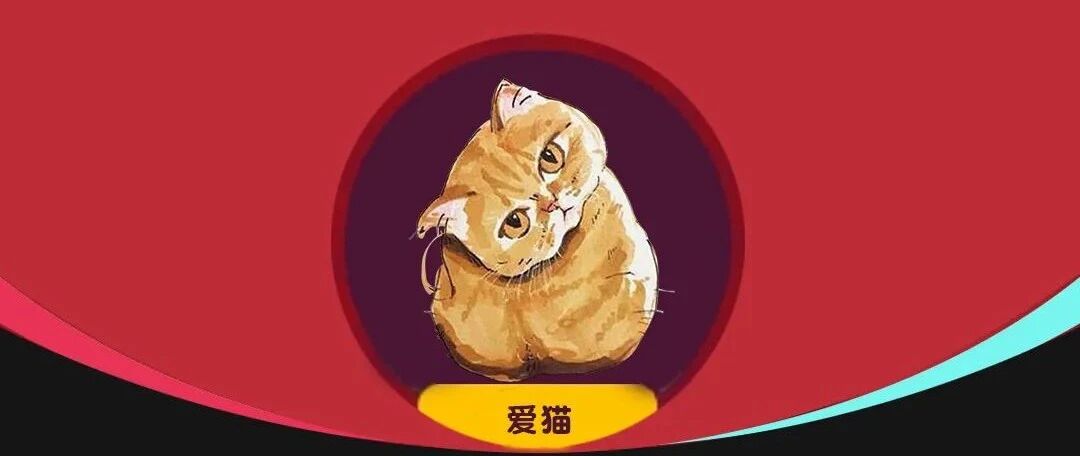 7.31直播带货战报 | 感谢爱猫的所有家人们！