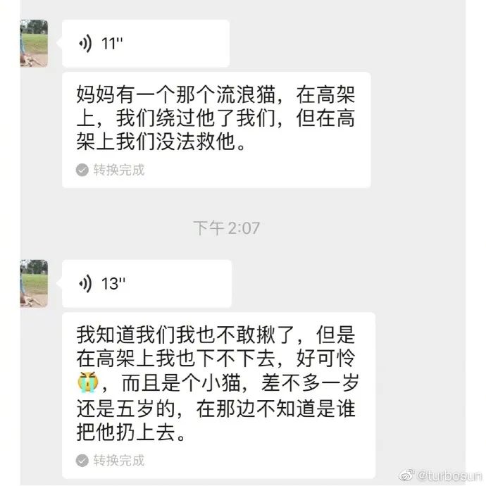 孫儷與女兒小花救助被扔高架橋的流浪貓，發文呼籲不要再有傷害！ 寵物 第4張