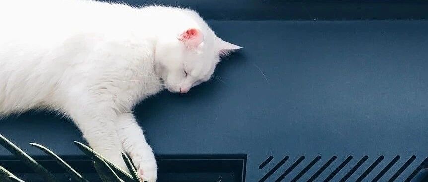 “你把一生给了我，我却只能爱你10年！”