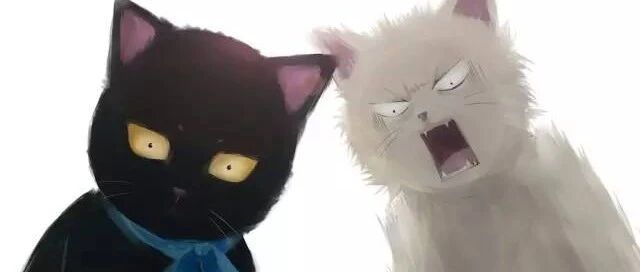 黑猫爸爸有多心酸？拼尽全力，却只够给孩子染个大背头~