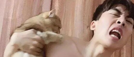 做猫的烦恼：铲屎官长得丑，还非要跟我自拍！