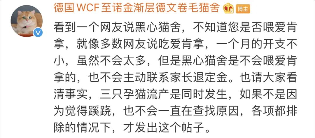 愛肯拿吃死貓實錘！貓主人還曬出檢測報告，卻被網暴罵心理有問題！ 寵物 第27張