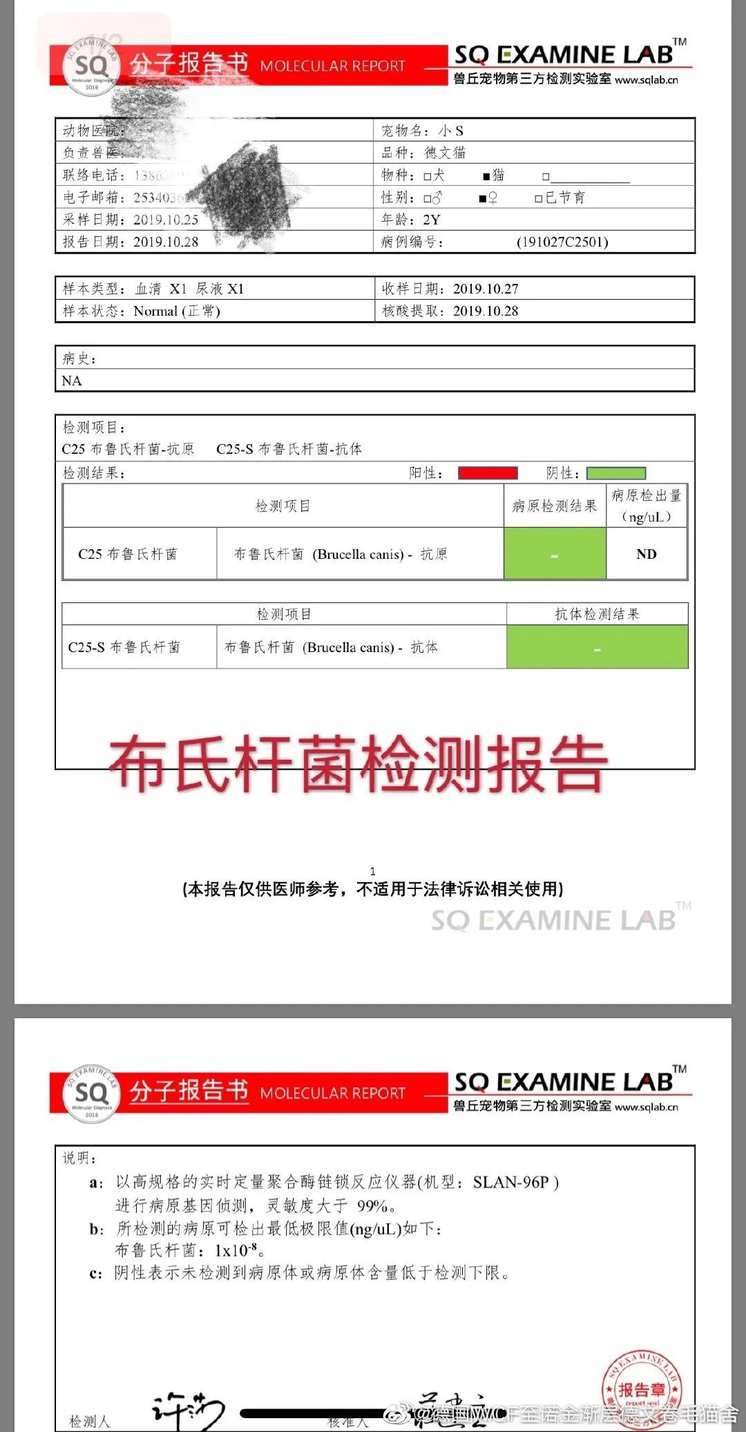 愛肯拿吃死貓實錘！貓主人還曬出檢測報告，卻被網暴罵心理有問題！ 寵物 第14張