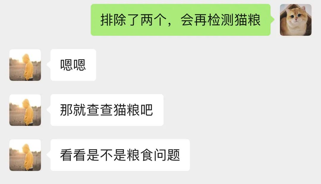 愛肯拿吃死貓實錘！貓主人還曬出檢測報告，卻被網暴罵心理有問題！ 寵物 第15張