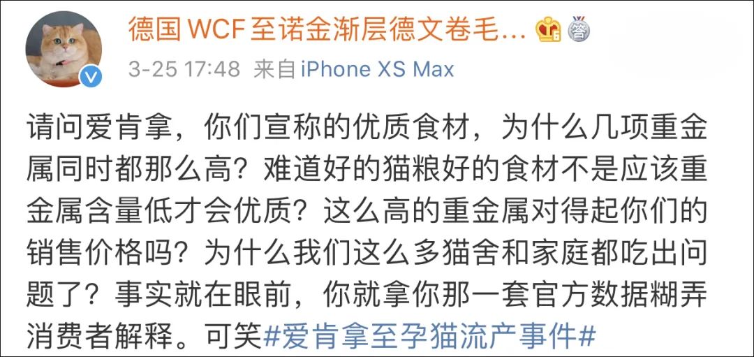 愛肯拿吃死貓實錘！貓主人還曬出檢測報告，卻被網暴罵心理有問題！ 寵物 第5張