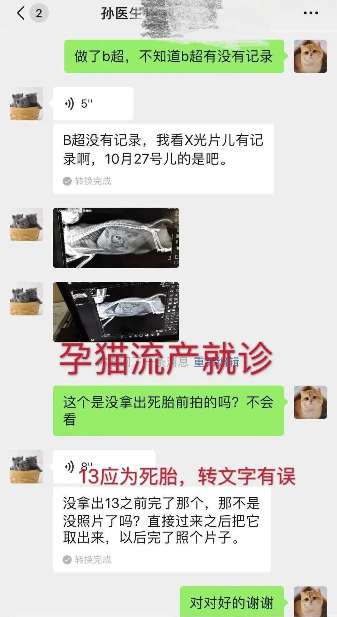 愛肯拿吃死貓實錘！貓主人還曬出檢測報告，卻被網暴罵心理有問題！ 寵物 第9張