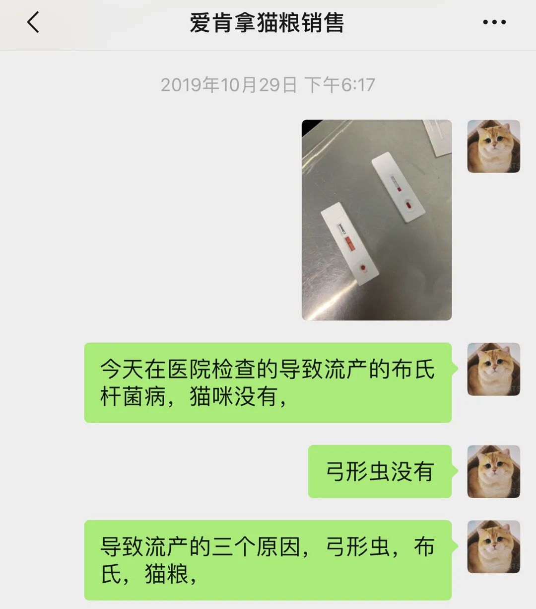 愛肯拿吃死貓實錘！貓主人還曬出檢測報告，卻被網暴罵心理有問題！ 寵物 第12張