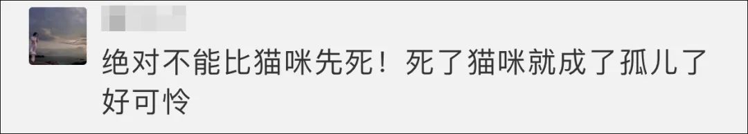 「如果有什麼能阻止我自殺，那一定是我的貓。」 寵物 第36張