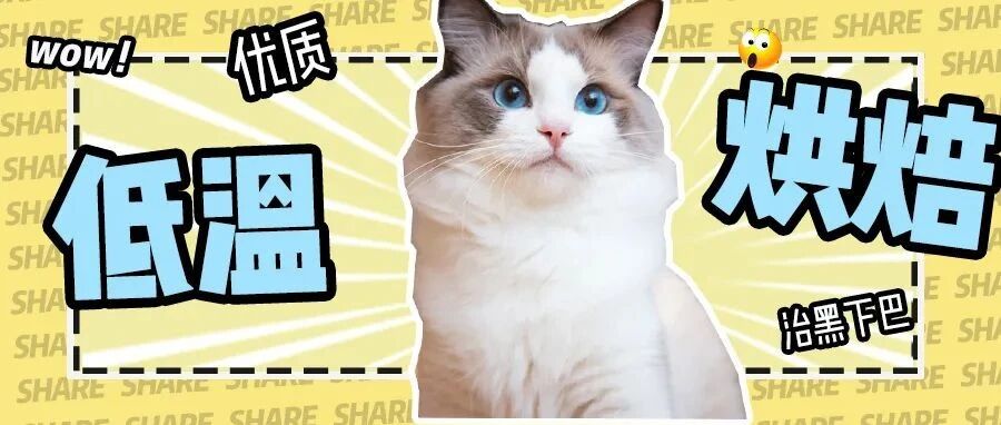 每月100元，能恰到什么样的低温烘焙粮？