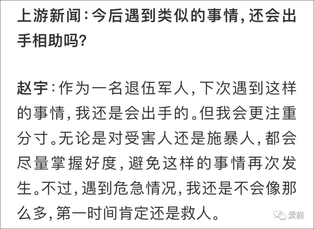 喂流浪貓嗎？進派出所那種！ 未分類 第5張