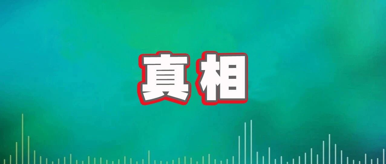到底谁在说谎？直播拆封40袋金素猫粮，求一个公道！