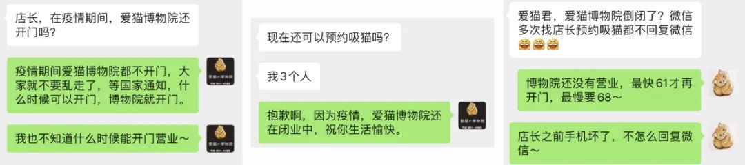 愛貓博物院倒閉了嗎？| 愛貓君首次直播帶貨自救之旅 寵物 第3張