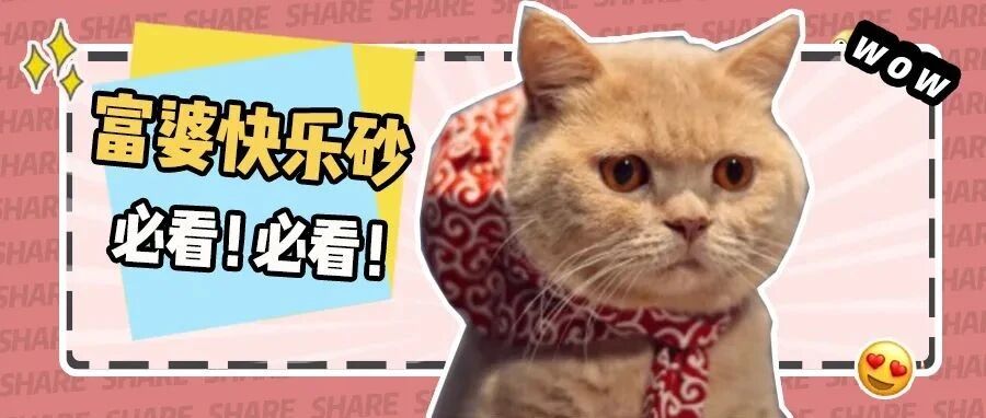 进口超高端猫砂横向对比，谁才是真正の富婆快乐砂？