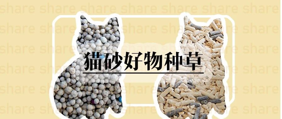 主流猫砂评测！世界上有没有完美的猫砂？