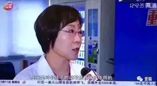 央视辟谣怀孕不能养狗视频_央视辟谣怀孕不能养宠物原文_央视辟谣怀孕不能养宠物