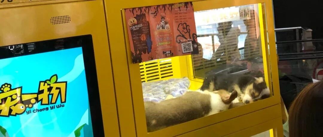 “坚决抵制活体宠物抽奖机！”