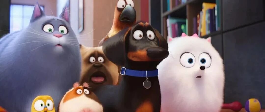 铲屎官在啪啪时猫狗怎么看？沙雕网友在线友好交流了起来…