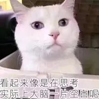 沃日,再穷也要让猫吃安全?被催更n年的低价粮评测来咗!-微信头条网 沃日,再穷也要让猫吃安全?被催更n年的低价粮评测来咗!
