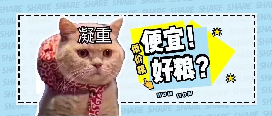 沃日，再穷也要让猫吃安全？被催更n年的低价粮评测来咗！