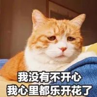 沃日,再穷也要让猫吃安全?被催更n年的低价粮评测来咗!-微信头条网 沃日,再穷也要让猫吃安全?被催更n年的低价粮评测来咗!