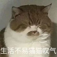 沃日,再穷也要让猫吃安全?被催更n年的低价粮评测来咗!-微信头条网 沃日,再穷也要让猫吃安全?被催更n年的低价粮评测来咗!