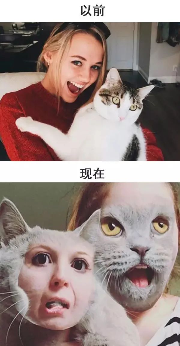 从前的猫 vs 现在的猫!看完已笑翻!-微信头条网 从前的猫 vs 现在的猫!看完已笑翻!