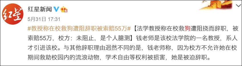 大學教授自費救助校園流浪貓狗，竟遭校方索賠55萬？ 寵物 第7張