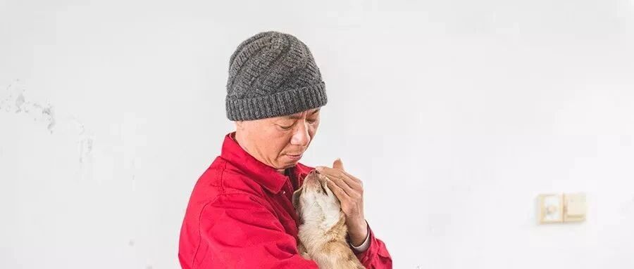 一个和尚救了4500多只流浪猫狗：为了救流浪动物，他忙到没空念经！