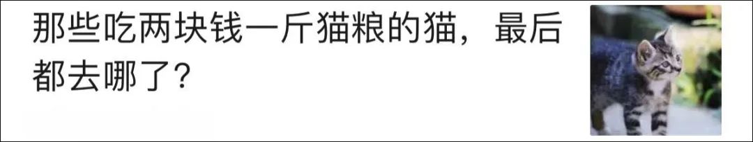 渴望、巔峰等進口糧在國內控價實錘！代理不讓貓奴買便宜貓糧！ 寵物 第25張