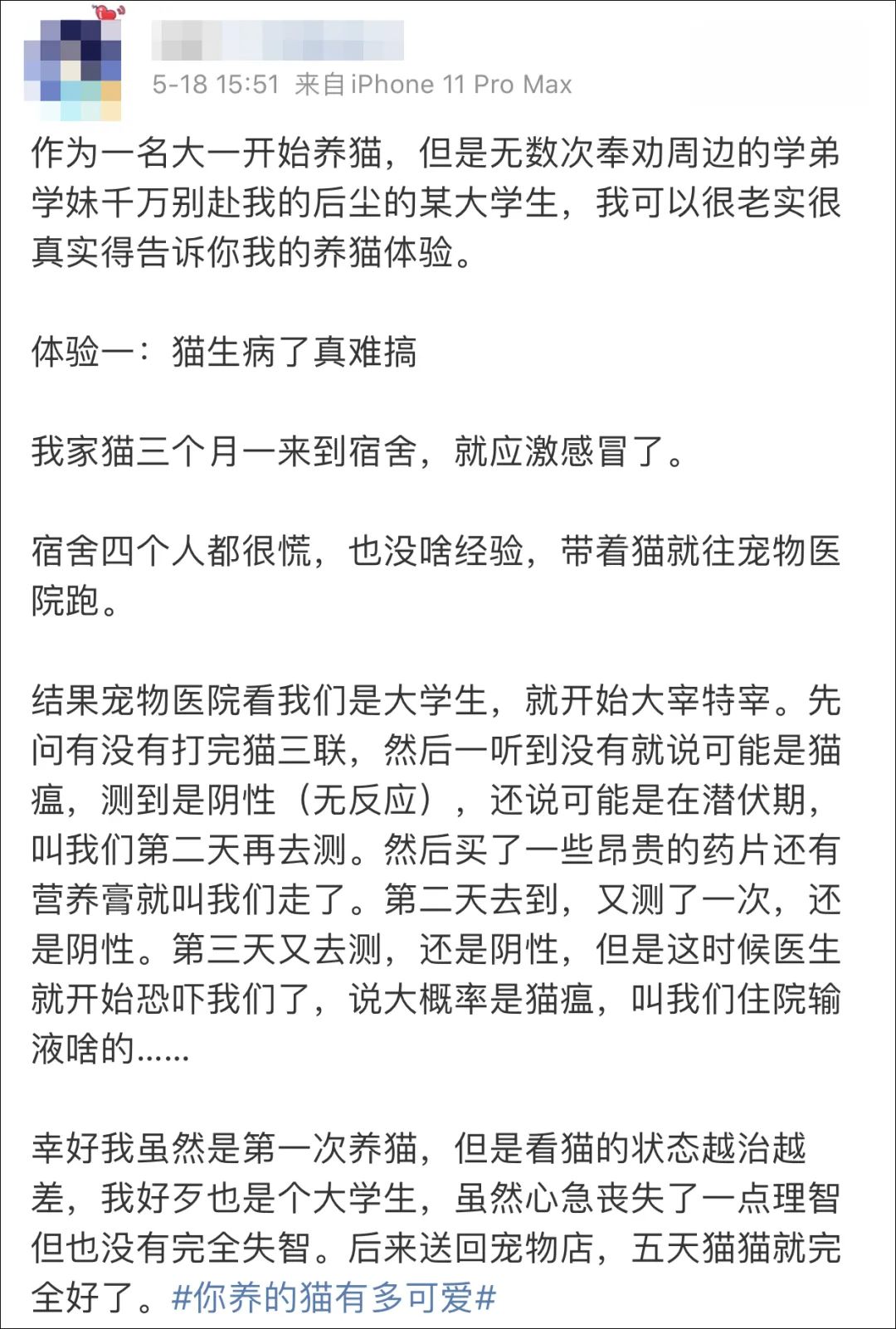 大學生適合在宿舍養貓嗎？不養，可能才是真的愛貓。 寵物 第6張